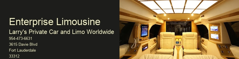 Limousine Service