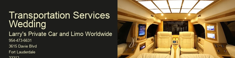 Airport Shuttle And Executive Car Service